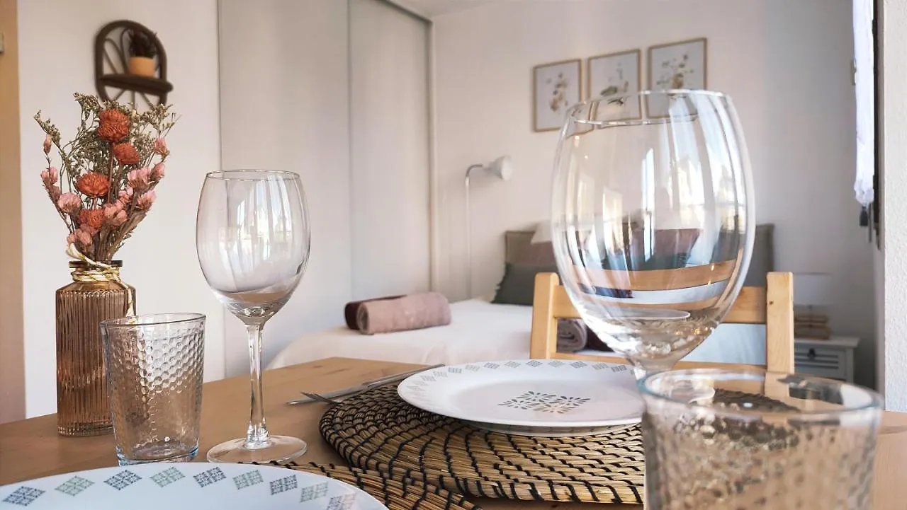 Joli Studio Tout Confort - Centre-Ville Annecy Apartment
